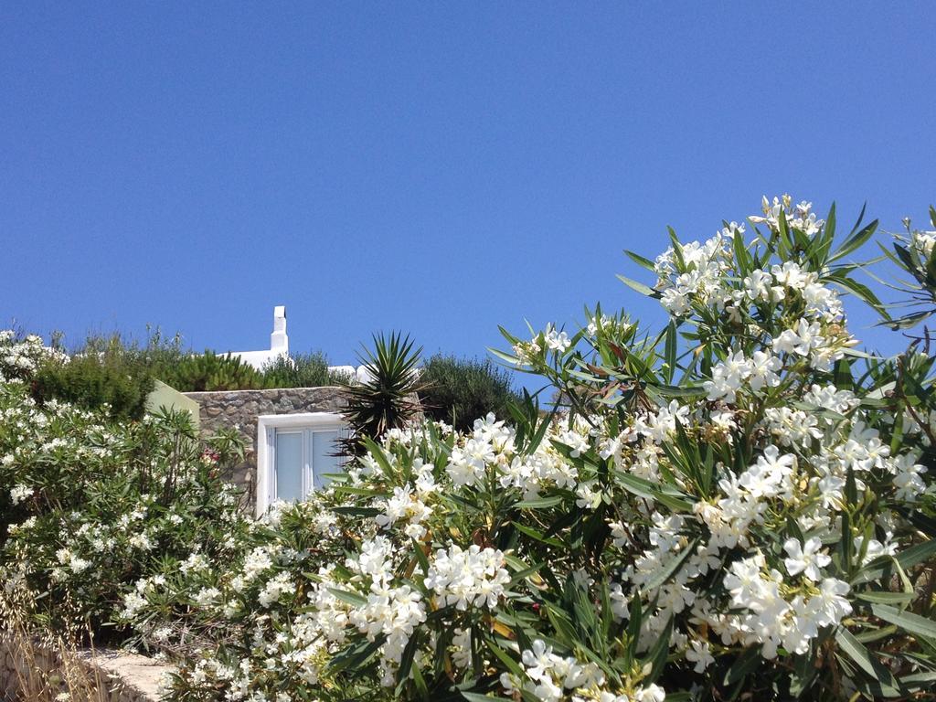 Mykonos Love Nest Ano Mera Rum bild